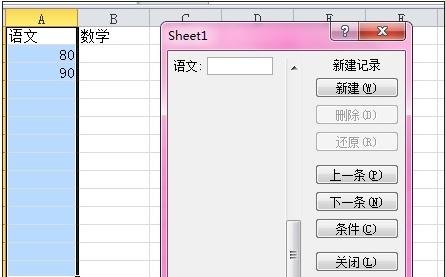 excel 2010 数据清单进行的操作