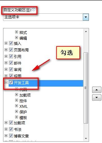 word怎么显示开发工具