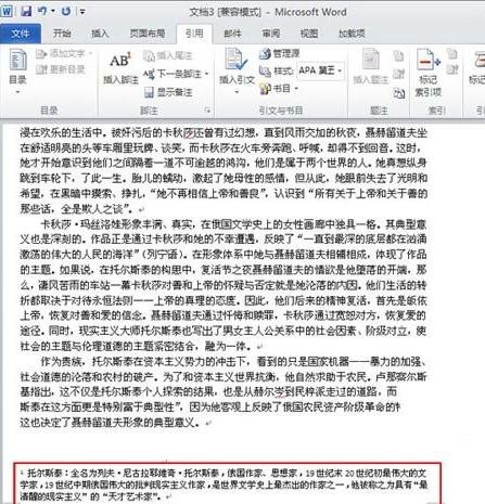 word2010添加脚注在哪里