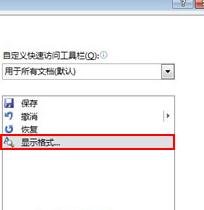 word2010显示格式在哪