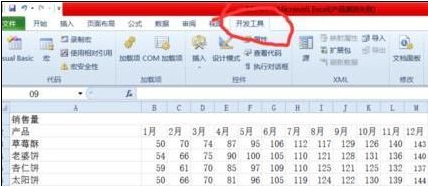 excel2010如何添加开发工具