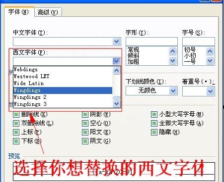 怎么在word2010中修改所有字母和数字格式