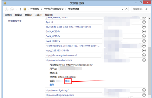 ie浏览器怎么看密码