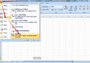 excel2007怎么转换成word格式