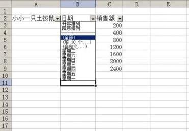 在excel2003中根据日期进行筛选的具体操作是