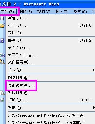 word2003页面设置在哪里