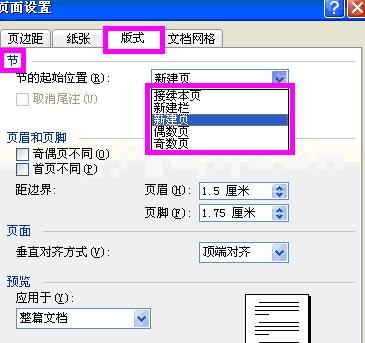 word2003页面设置在哪里