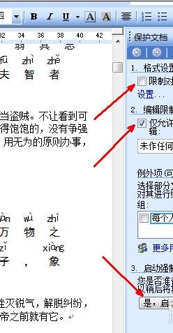 word2007如何设置文档保护