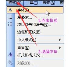 word设置字符格式