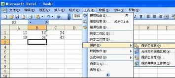 excel2003怎么锁定单元格