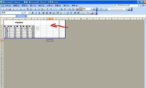 在excel2003打印时删除空白页的具体方法是什么