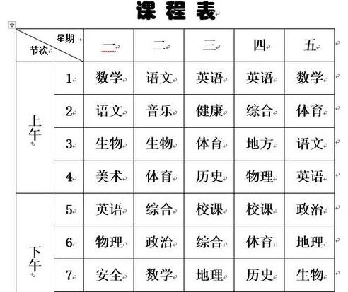 word2019如何绘制斜线表头