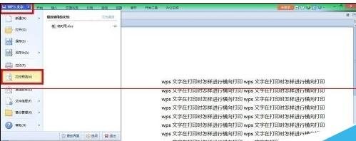 word2013文档怎么横向排版