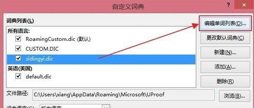 word自定义词典使用