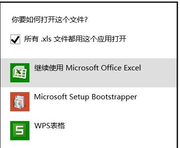 如何设置excel2007为默认打开方式