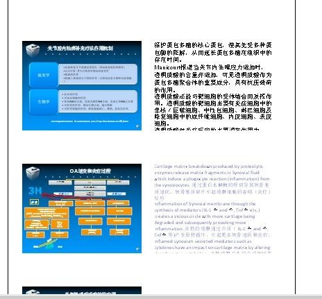 ppt2010打印备注讲义