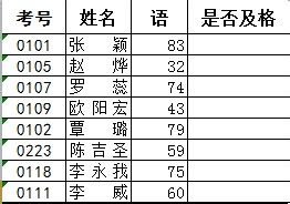 在excel中使用函数进行条件判断的具体操作步骤