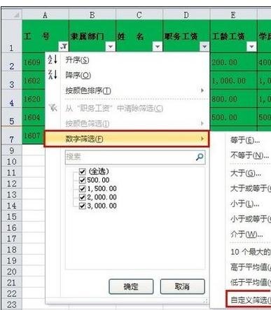 excel表格中自定义筛选怎么搞