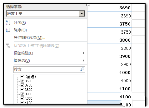 excel数据透视表怎么筛选数据