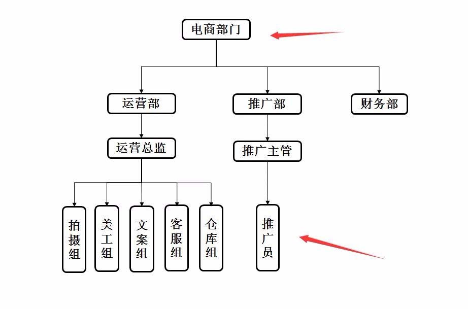 电商部门架构图