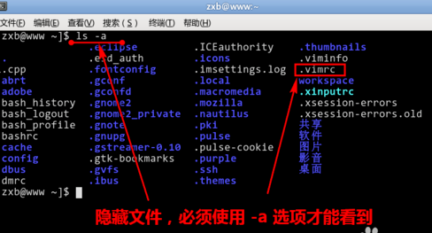 vim配置环境变量