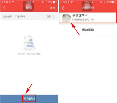 在有宠app中发布配对的具体操作方法