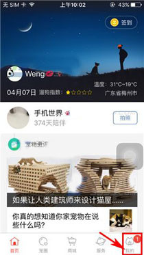 在有宠app中设置好友消息免打扰的具体操作是什么