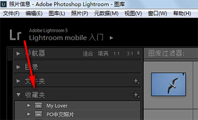 lightroom中收藏卡与文件夹有何不同