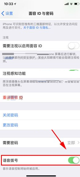 在iphone x中开启语音拨号的具体操作