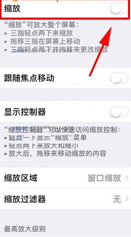 在苹果iphone x中关闭屏幕缩放功能的具体步骤是