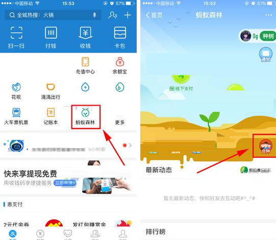 支付宝蚂蚁森林如何合种