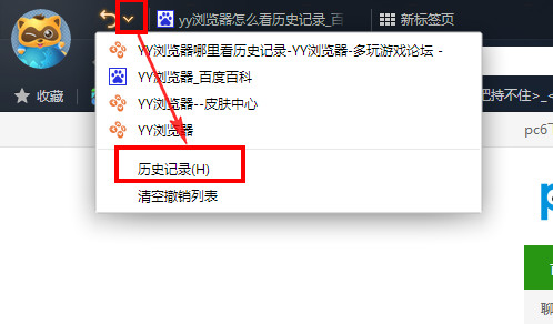 在yy浏览器中进行查看历史记录的详细步骤是