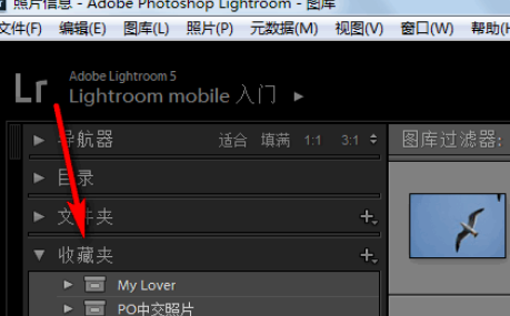 在lightroom中创建收藏夹及收藏夹集的具体步骤包括