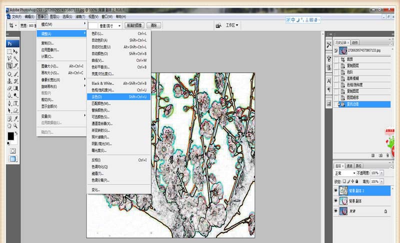 ps把梅花图打造成水墨画效果的教程