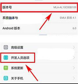 华为mate10开启开发者选项的图文教程在哪里