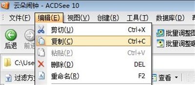 acdsee怎么进行局部复制粘贴