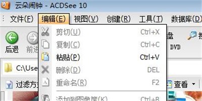 acdsee怎么进行局部复制粘贴