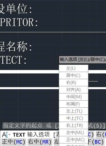 cad如何调整文字大小