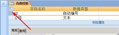 access报表主题设置