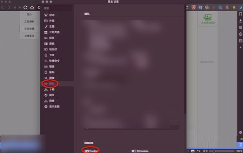 mac开启浏览器cookie功能