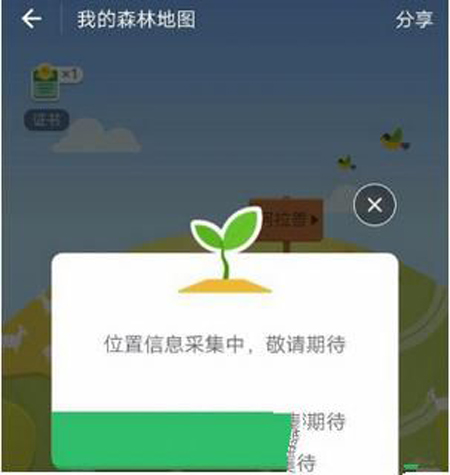 蚂蚁森林怎么看实景图