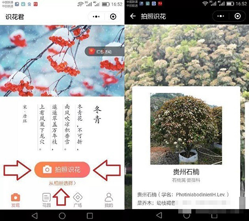 微信如何拍照识别植物