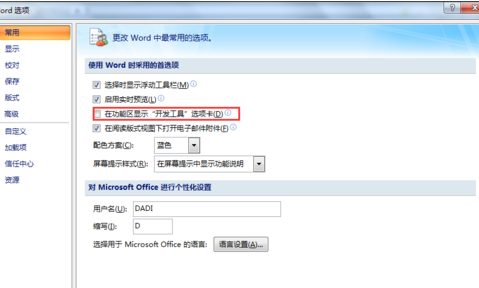 office2007开发工具选项卡