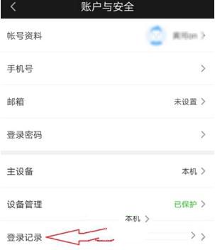 爱奇艺查看登录记录的操作技巧是什么