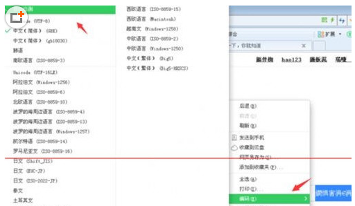 在百度浏览器中出现打开乱码的详细解决方法是