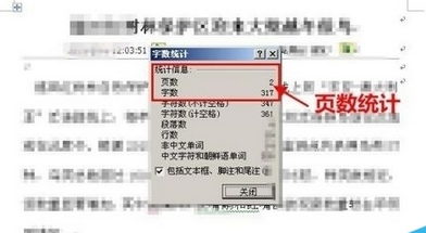 word文档如何查看页数