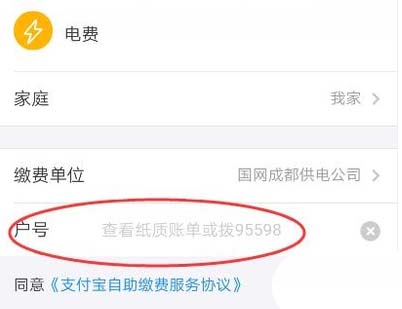 怎么在支付宝上查每日用电量