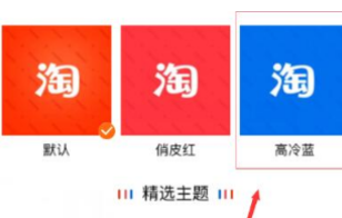 手机淘宝怎么换皮肤主题