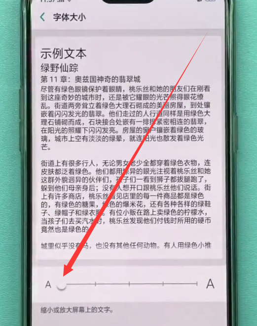 oppo手机调整字体的具体操作方法