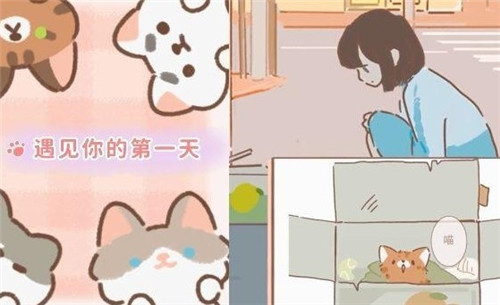 遇见你的猫猫咪获得方法介绍